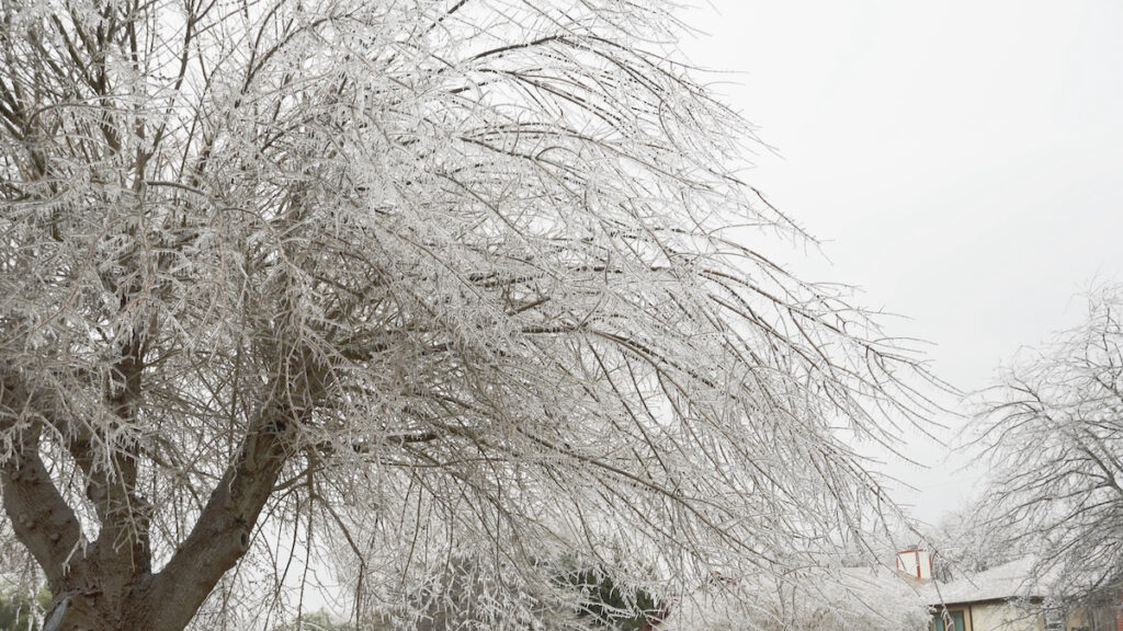 winter Best Contractor Estimating & Invoicing Software - Hearth
