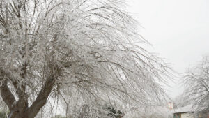 winter Best Contractor Estimating & Invoicing Software - Hearth