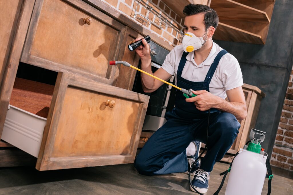 pest control worker spraying cabinet